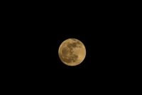 Last full moon of the decade 2010-2020